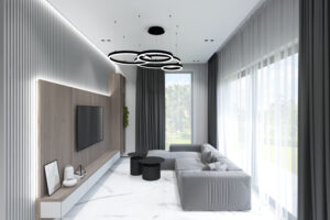 кухня-гостиная-прихожая 010003